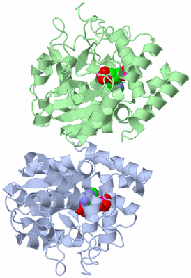 Image Asym./Biol. Unit