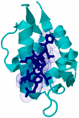 Image Biological Unit 3