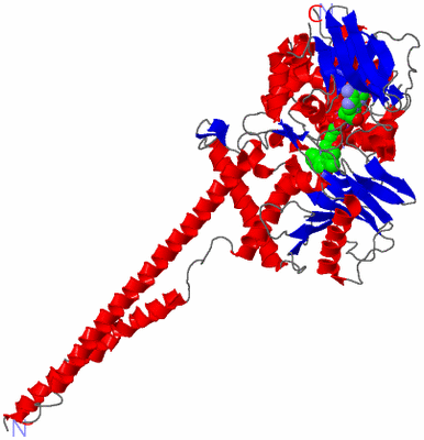 Image Asym./Biol. Unit