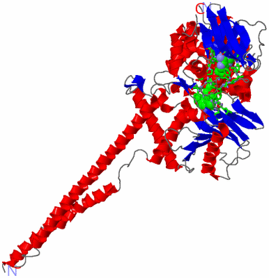 Image Asym./Biol. Unit - sites