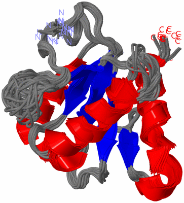 Image NMR Structure - all models