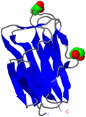 Image Asymmetric Unit