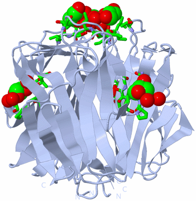 Image Biol. Unit 1 - sites