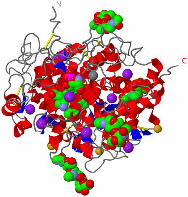 Image Asym./Biol. Unit