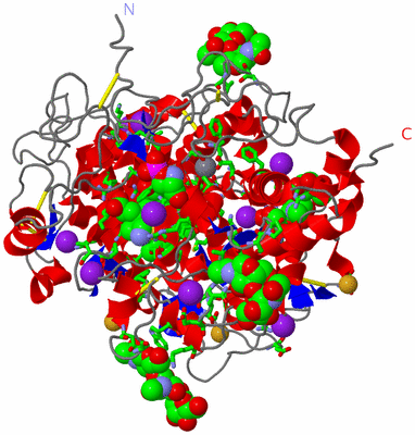 Image Asym./Biol. Unit - sites