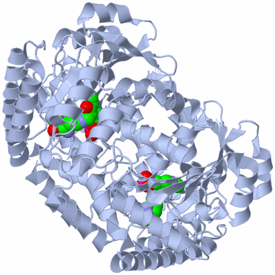 Image Biological Unit 1