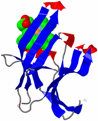 Image Asymmetric Unit