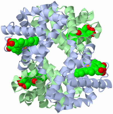 Image Biological Unit 1