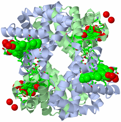 Image Biol. Unit 1 - sites