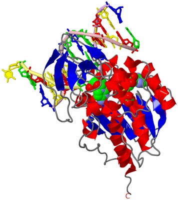 Image Asym./Biol. Unit