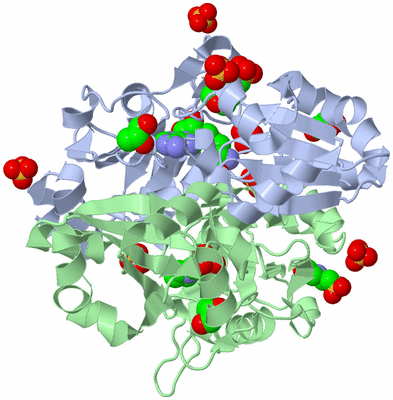 Image Asym./Biol. Unit