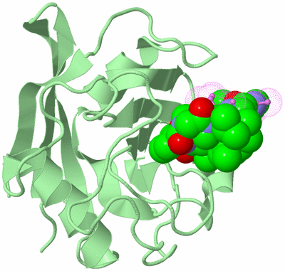 Image Biological Unit 2