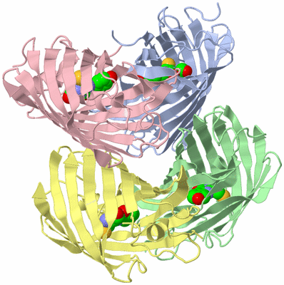 Image Biological Unit 1