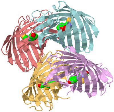 Image Biological Unit 2