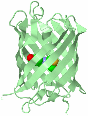 Image Biological Unit 2