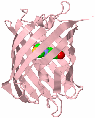 Image Biological Unit 3