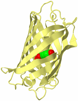 Image Biological Unit 4