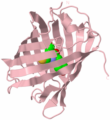 Image Biological Unit 3