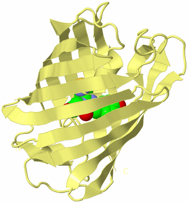 Image Biological Unit 4