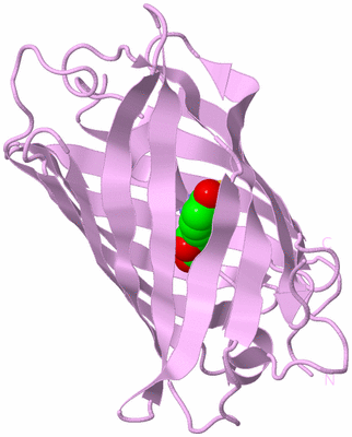 Image Biological Unit 5