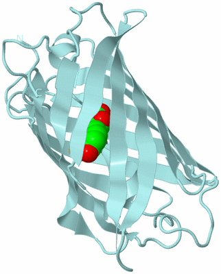 Image Biological Unit 6