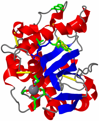 Image Asym./Biol. Unit - sites