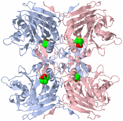 Image Biological Unit 1