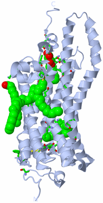 Image Biol. Unit 1 - sites