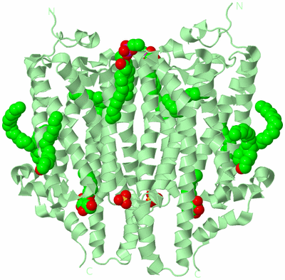 Image Biological Unit 4