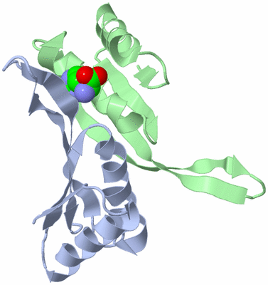 Image Biological Unit 1