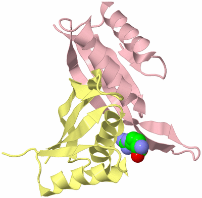 Image Biological Unit 2