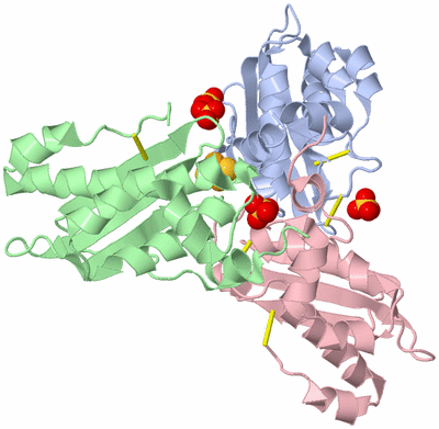 Image Biological Unit 1