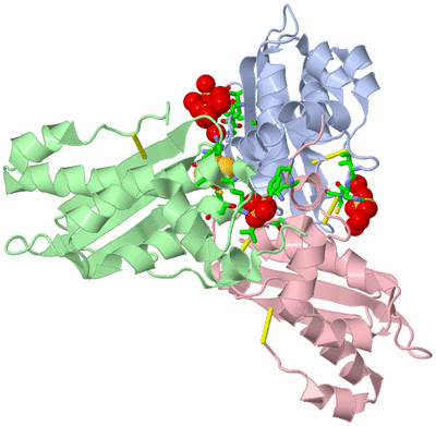 Image Biol. Unit 1 - sites