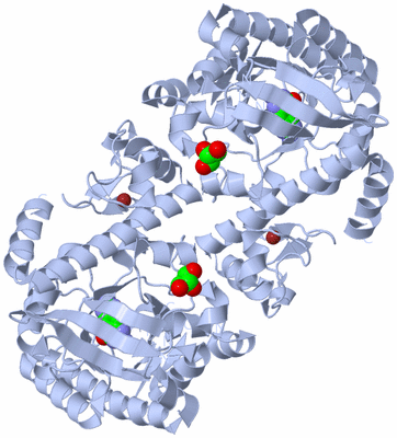 Image Biological Unit 2