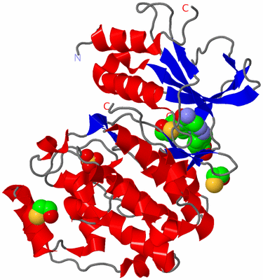 Image Asym./Biol. Unit