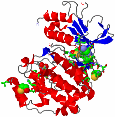 Image Asym./Biol. Unit - sites