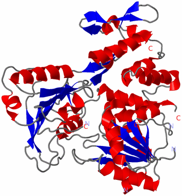 Image Asym./Biol. Unit