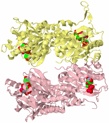 Image Biological Unit 2