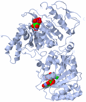 Image Biological Unit 2