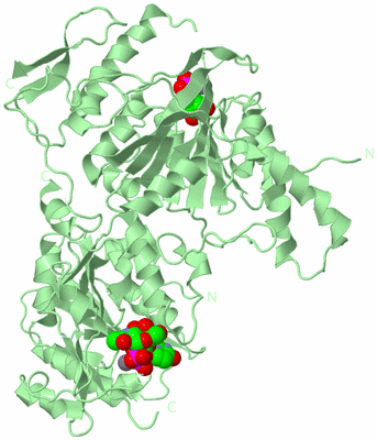 Image Biological Unit 3