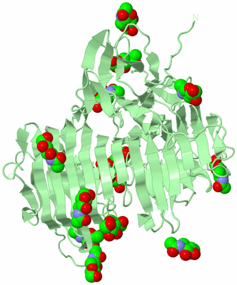 Image Biological Unit 2