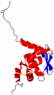 Image Asymmetric Unit