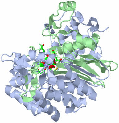 Image Biol. Unit 1 - sites