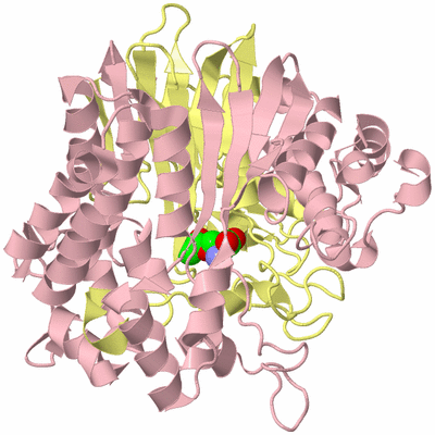 Image Biological Unit 2