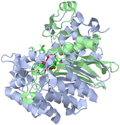 Image Biol. Unit 1 - sites