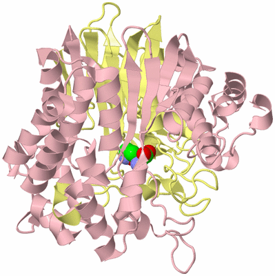 Image Biological Unit 2