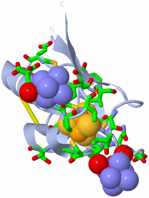 Image Biol. Unit 1 - sites