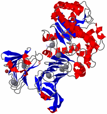 Image Asym./Biol. Unit