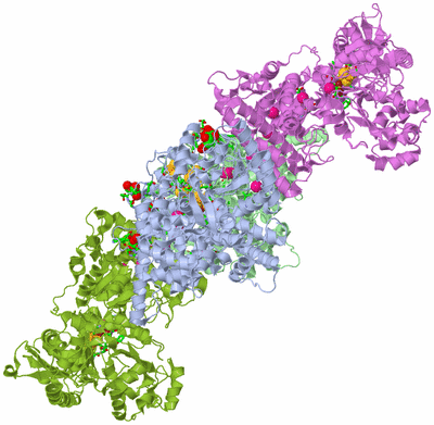 Image Biol. Unit 1 - sites