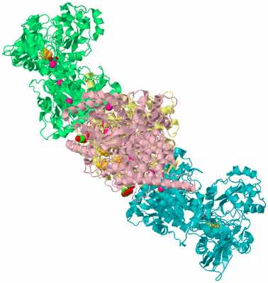 Image Biological Unit 2